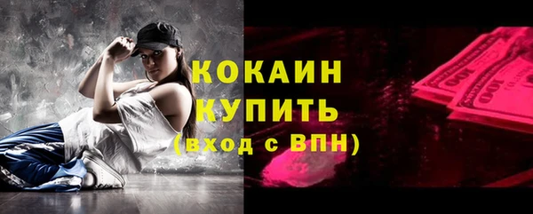 шишки Балахна