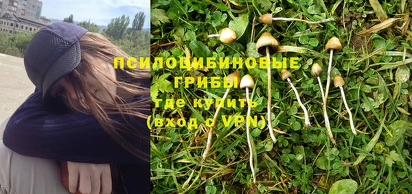 каннабис Арсеньев