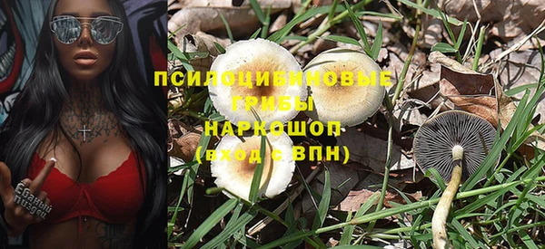 каннабис Арсеньев